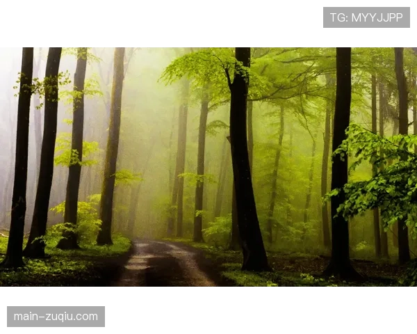 裁判选拔机制信任危机加剧 历史执法记录成心理砝码